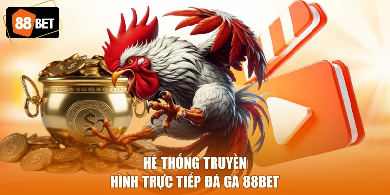 Hệ thống truyền hình trực tiếp đá gà 88BET