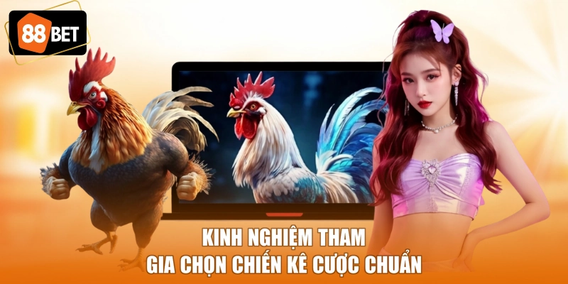 Kinh nghiệm tham gia chọn chiến kê cược chuẩn